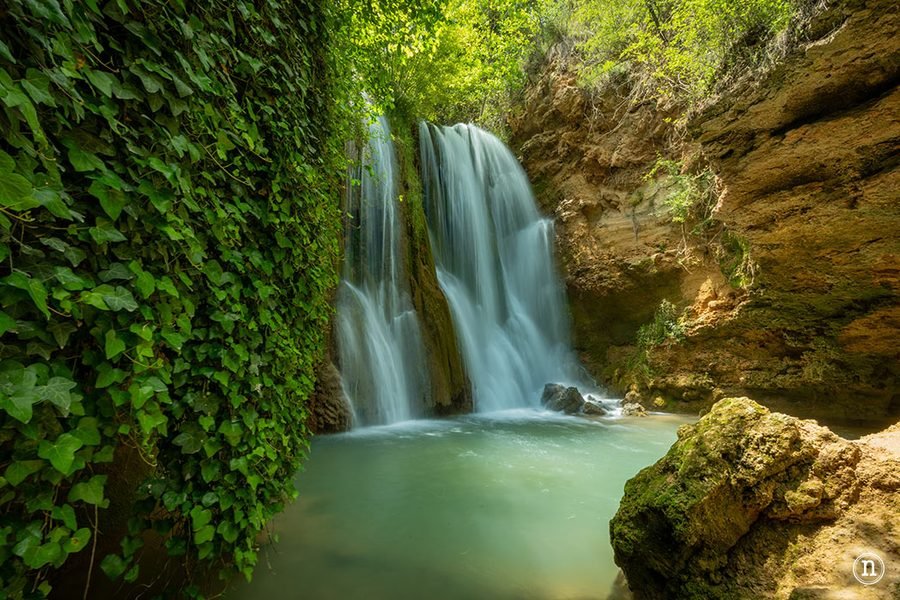 Cascada rodeada de hiedra y roca